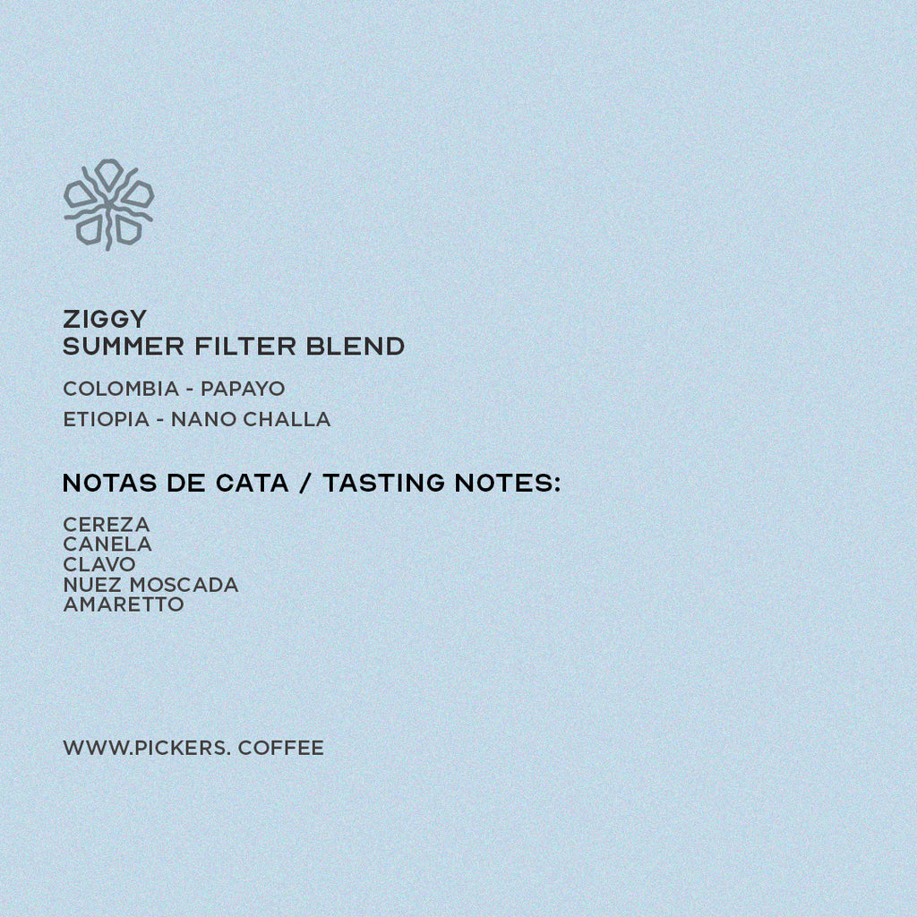 Pickers Coffee - ZIGGY - Summer Filter Blend